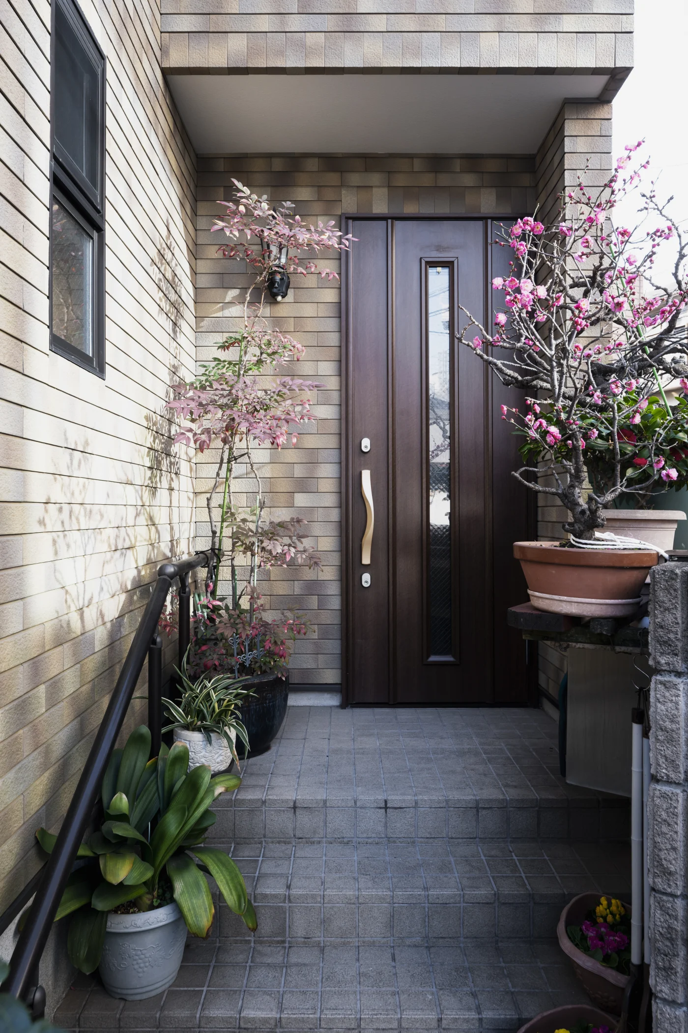 Elegant front door at the top of steps lined with potted plants