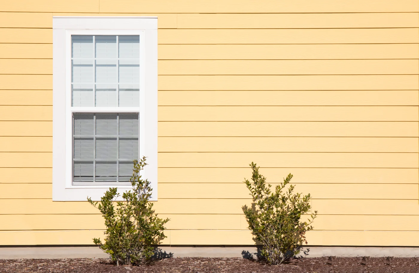 Yellow siding on a house with a white window