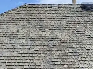 Michelle V Roof Replacement Before Chicagoland Apex Eteriors
