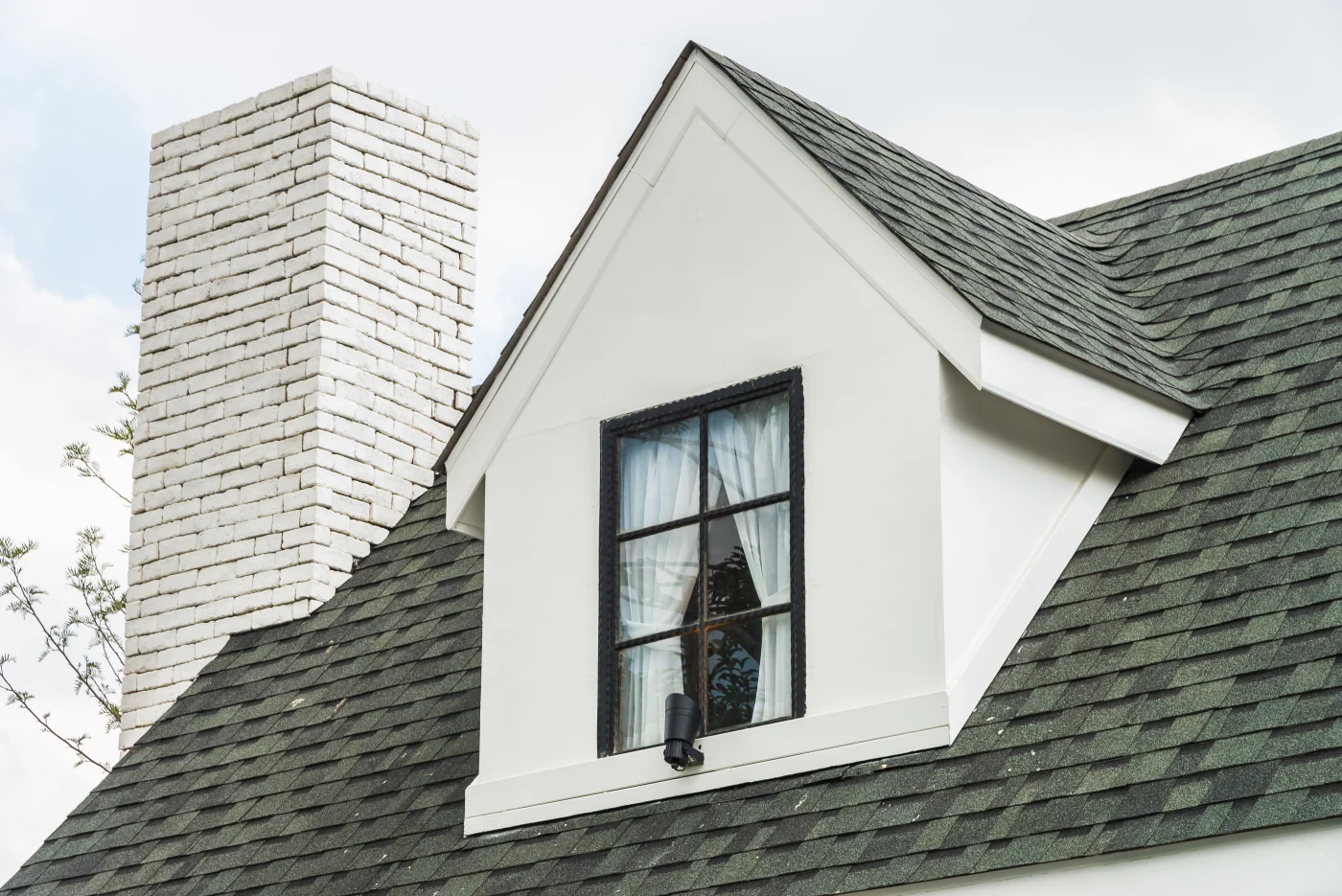 Close-up of green shingle roof