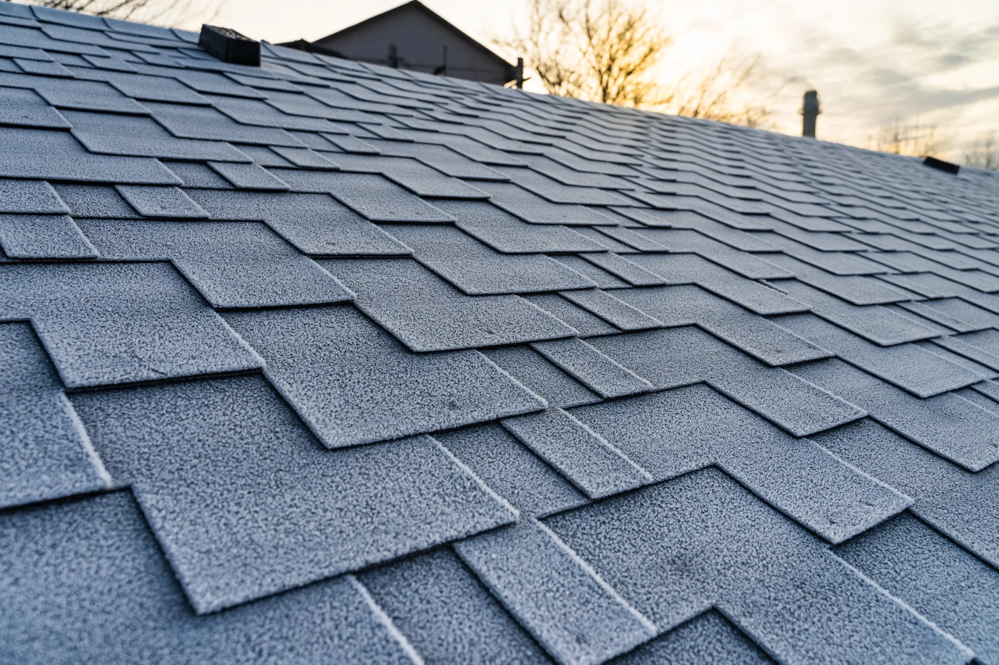 Close-up image of asphalt shingles on Downers Grove, IL roof