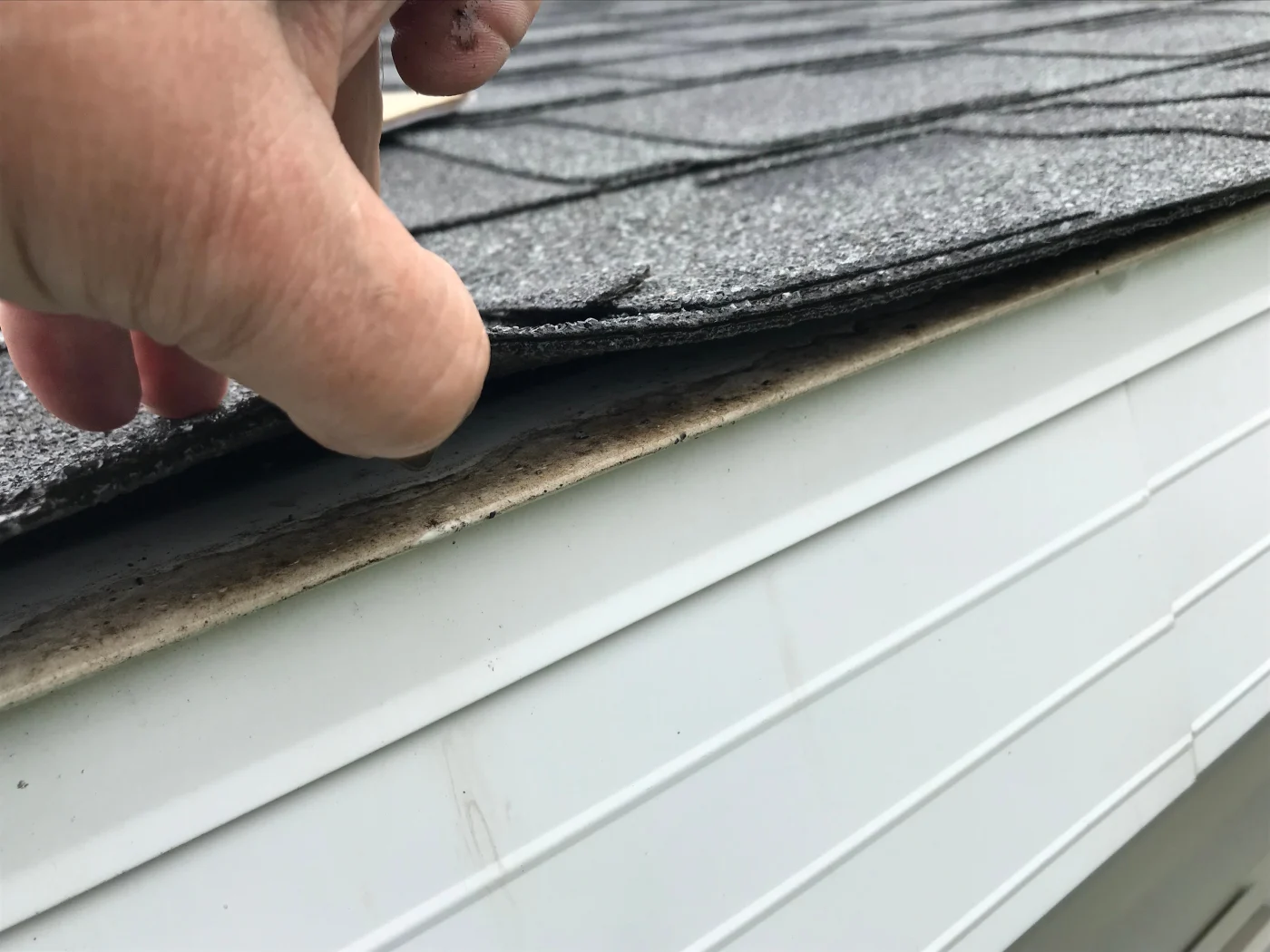 Roof Shingle Hail Damage Close-up of a roofing contractor’s hands as they inspect a shingle roof