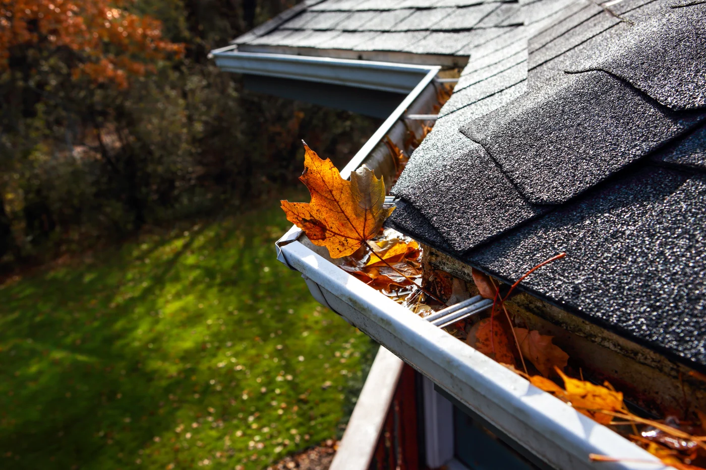 Autumn Leaves In A Rain Gutter On A Roof Rain gutters filled with autumn leaves that need to be removed